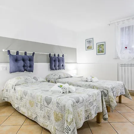 Anna With Terrace For 6 Guests